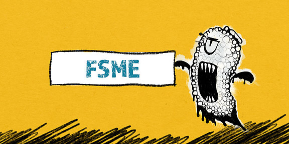 Grafik FSME 